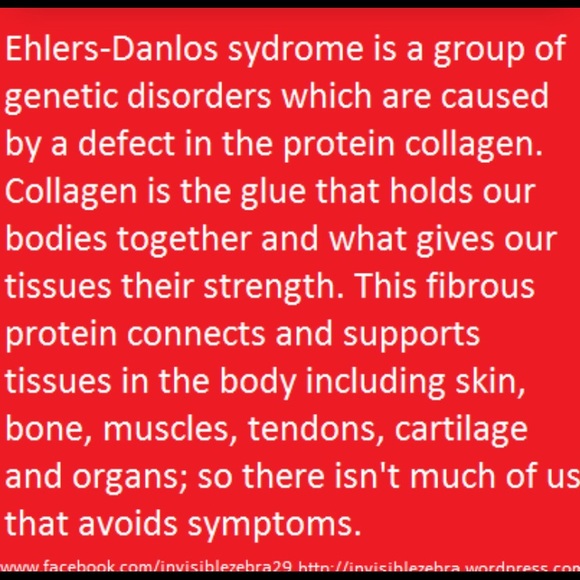 🦓 I am a Zebra 🦓 - Picture 2 of 8